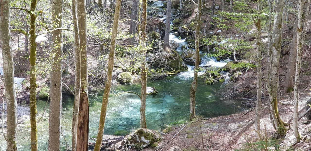 Yellow Apartma Kranjska Gora Διαμέρισμα Εξωτερικό φωτογραφία