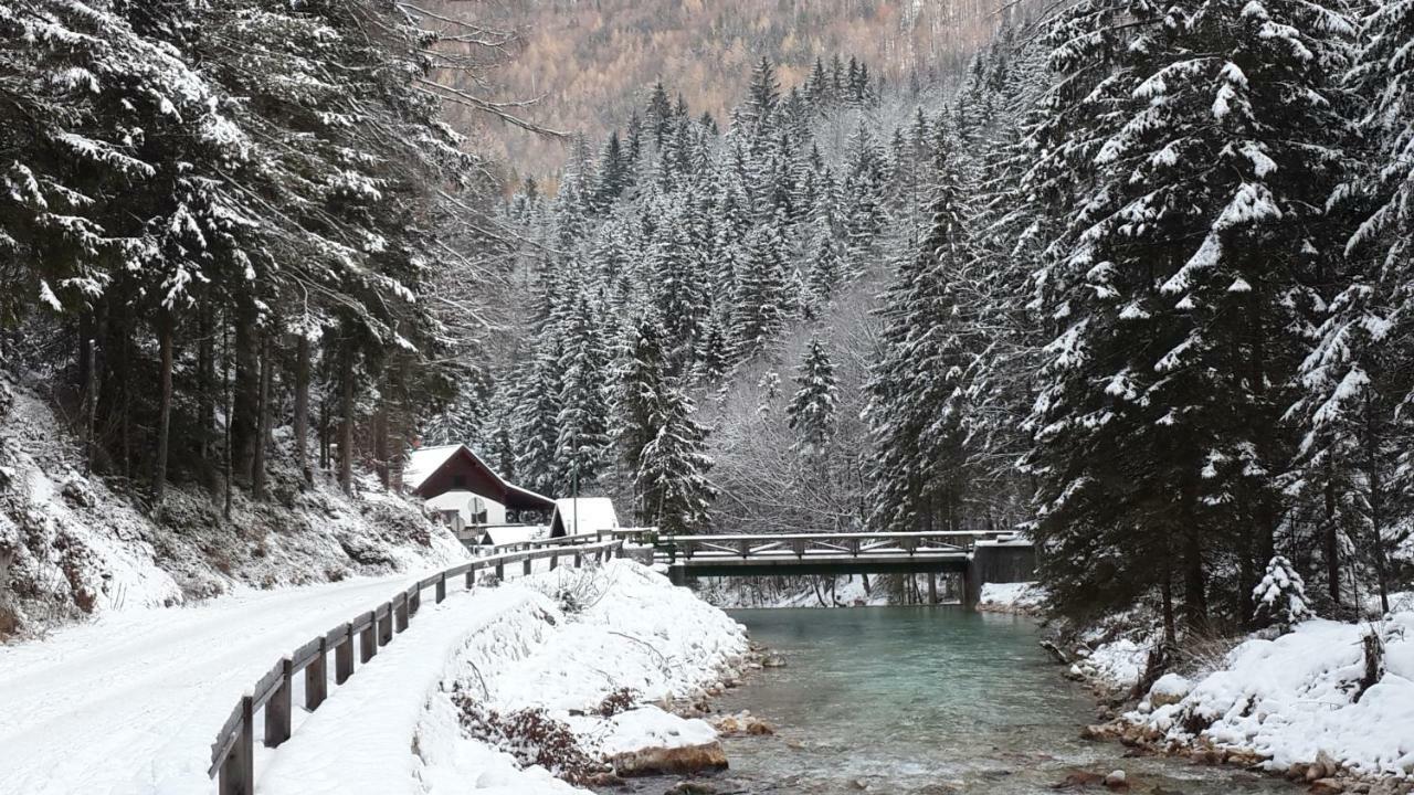 Yellow Apartma Kranjska Gora Διαμέρισμα Εξωτερικό φωτογραφία