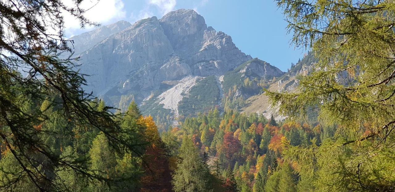 Yellow Apartma Kranjska Gora Διαμέρισμα Εξωτερικό φωτογραφία